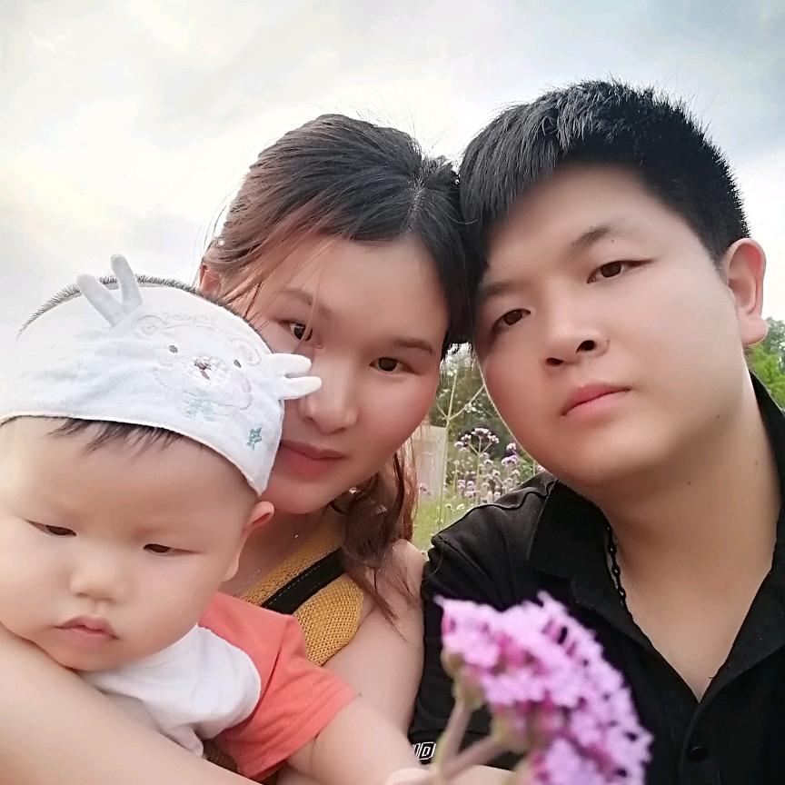 刚哥的日常生活