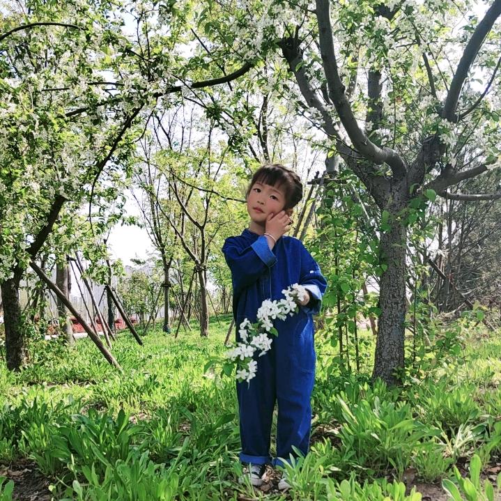 小苹果