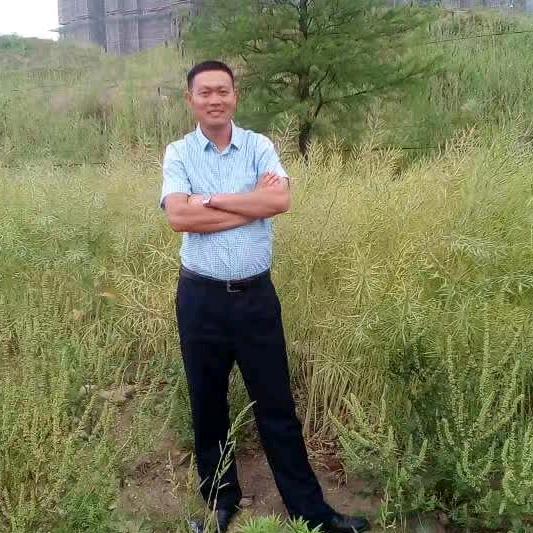 河南人，老莫。