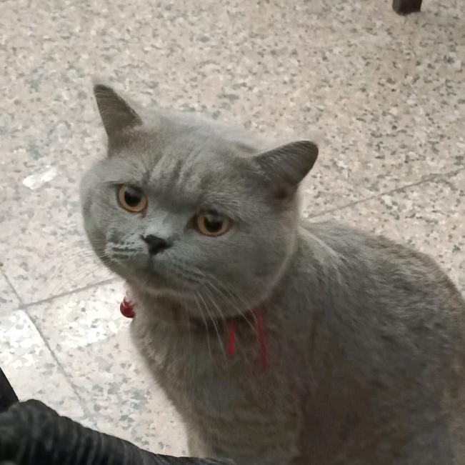 百事都要可乐🥤