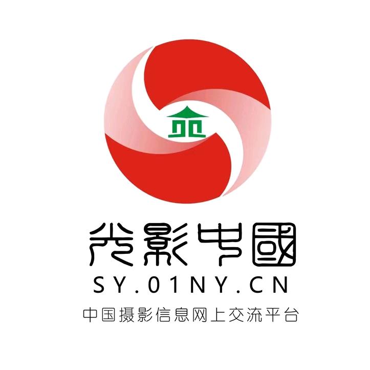 光影中国