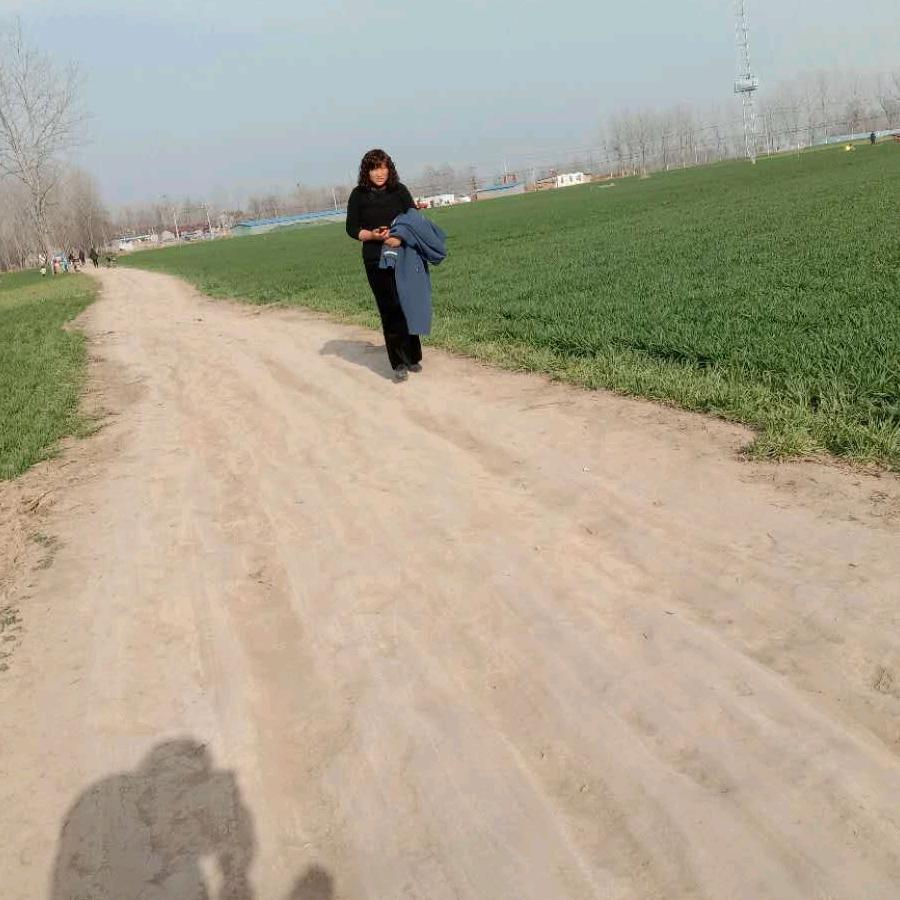 李凤英