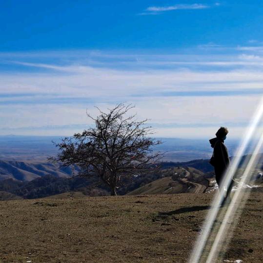 张小鱼的闲暇时光
