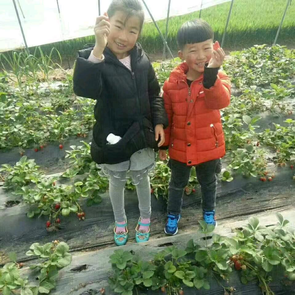 爱你一辈子