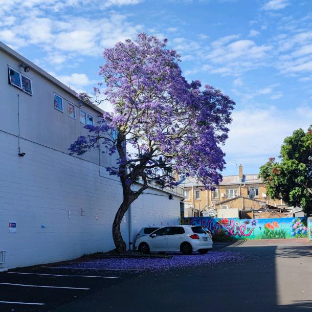 山乙几 （幸运版）