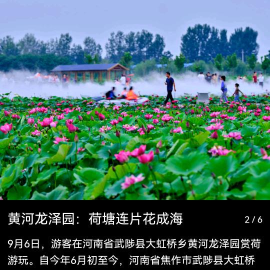 武陟县百荷种植家庭农场