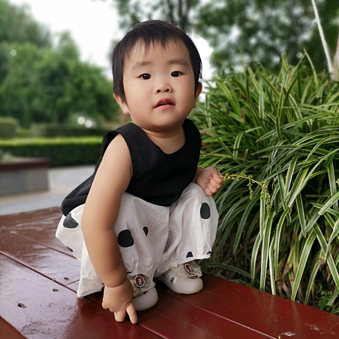 阿离文案