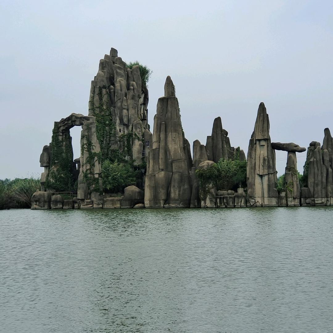 东方树叶