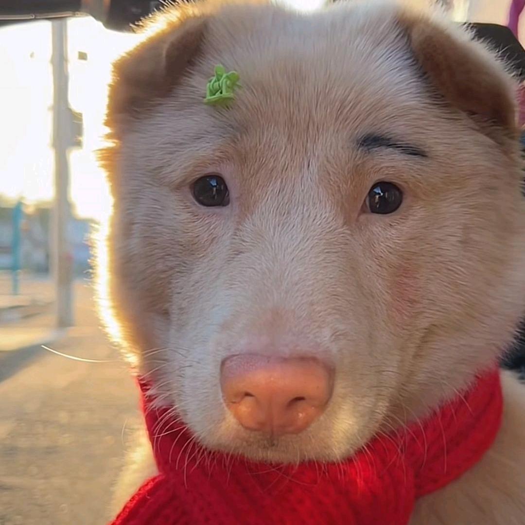 不愿透露姓名的俊俊