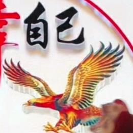 鹰