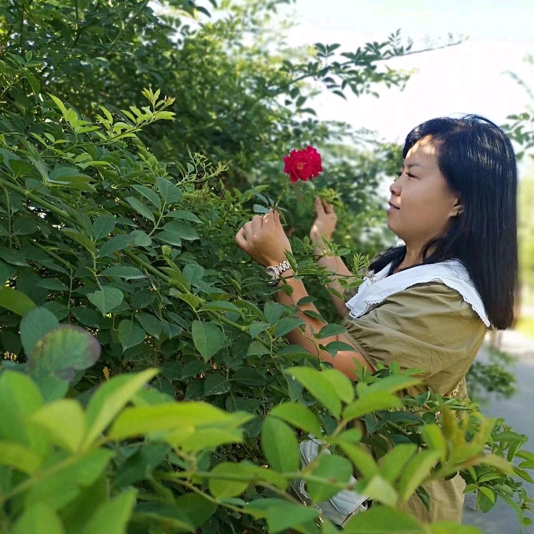 大灰狼婚庆