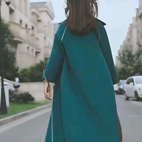 单只蝴碟
