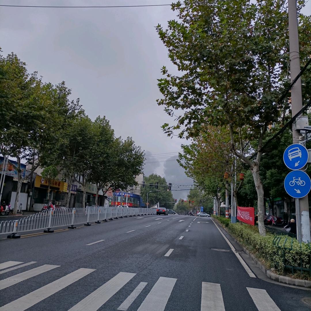 六合区漪漪花卉经营部