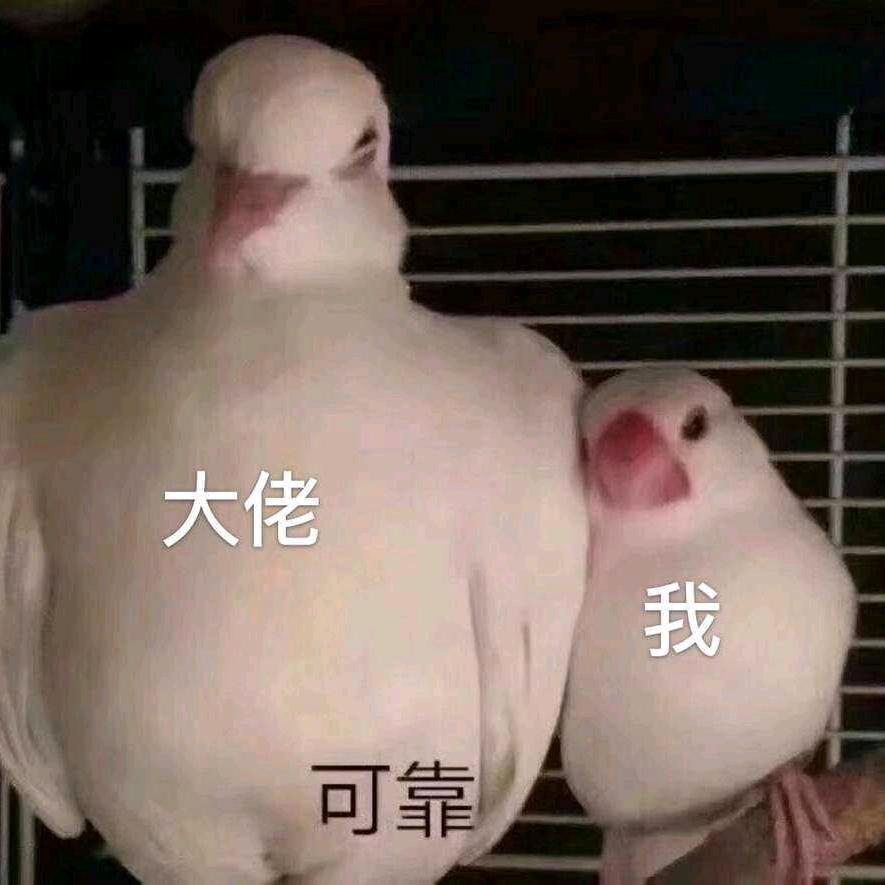 大佬带带我