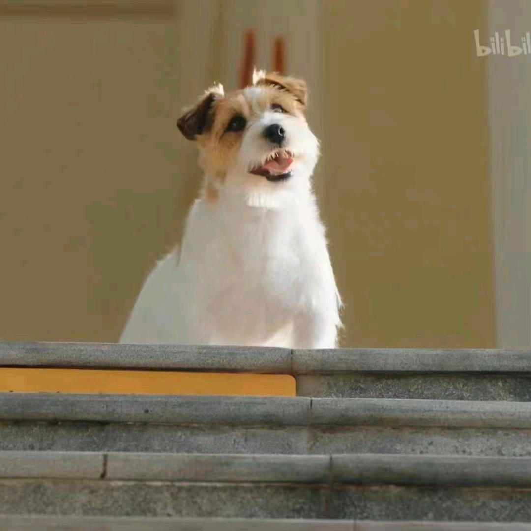 ｸﾞｯ!(๑•̀ㅂ•́)و✧辣辣
