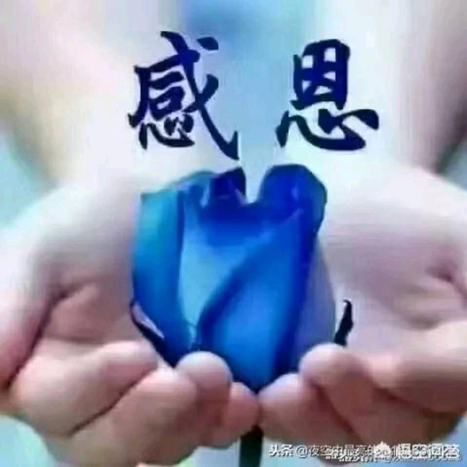 田友良cium
