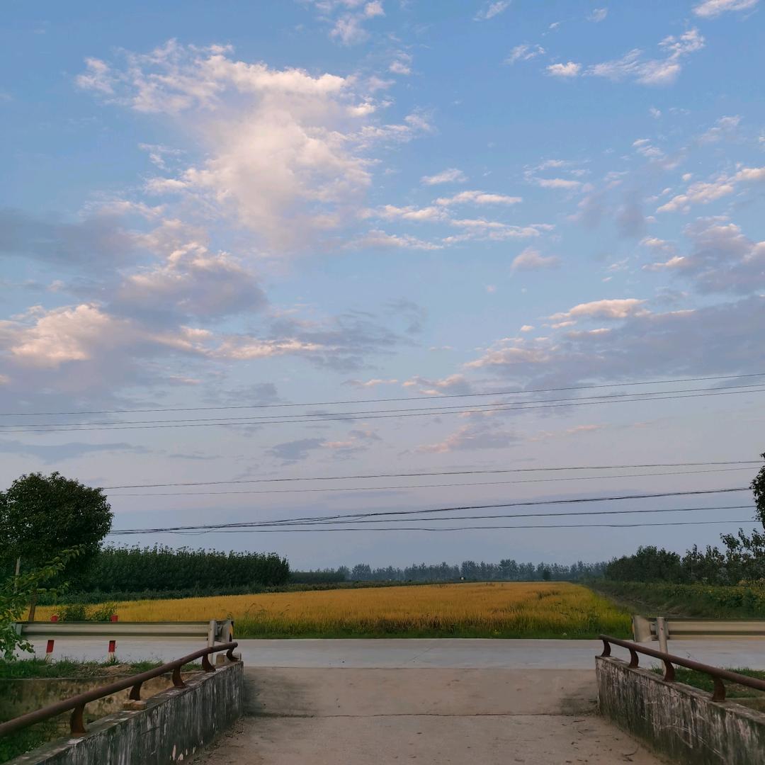 白衣踏霜寒。