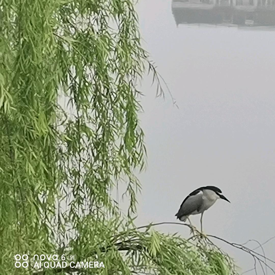 71阳光