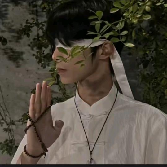 子龍、