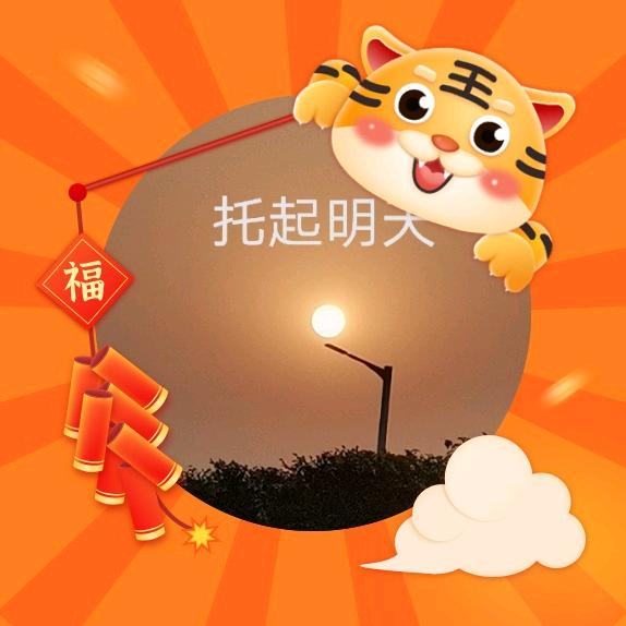 夕阳骏马