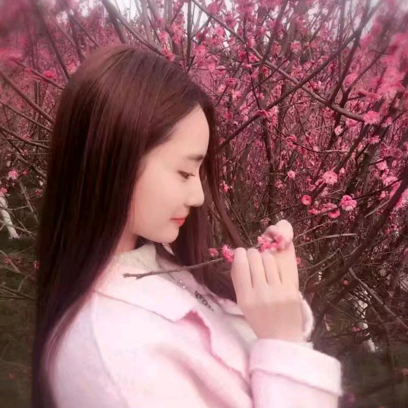 燕子优选