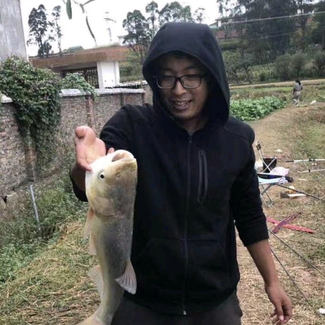 晨阳水电