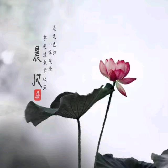 帅狼