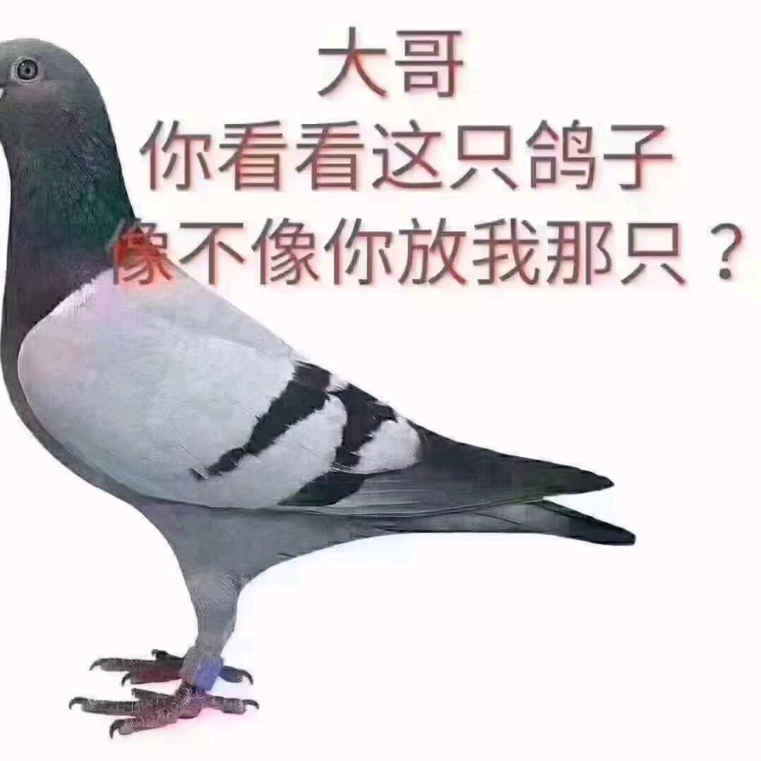 👊  안녕히 가세요💔