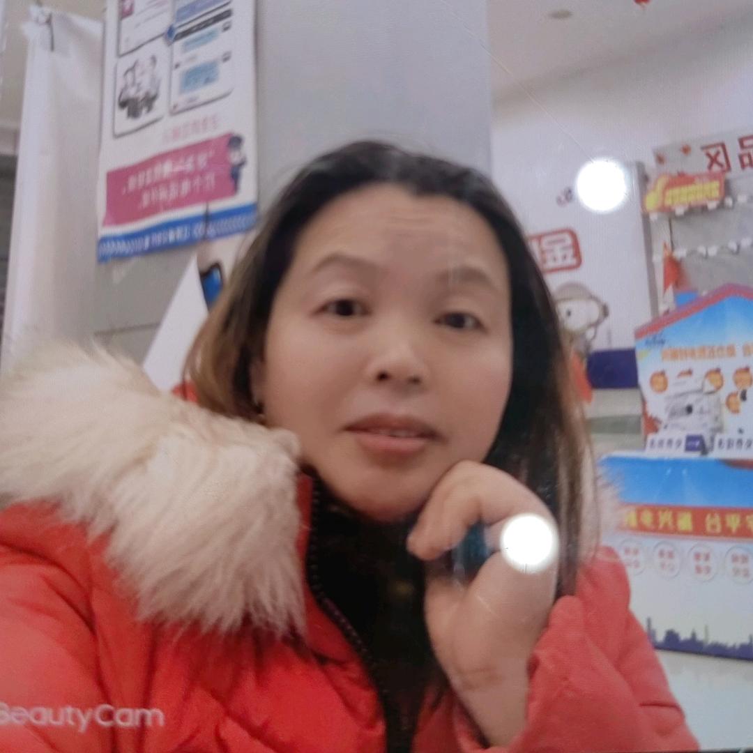 凤凤