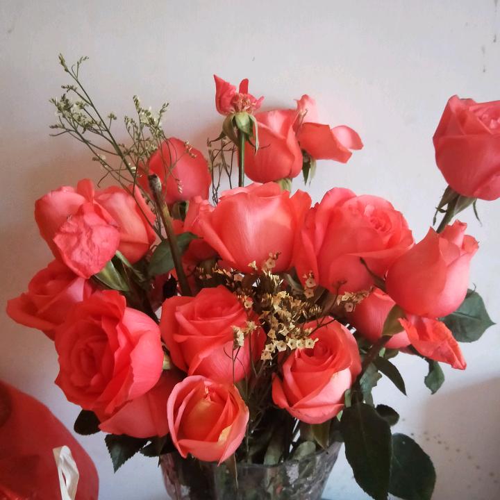 二娃妈妈(小戴)🌹🌹🌹🌺🌺