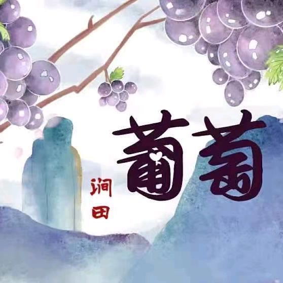 卖葡萄的小嫂子