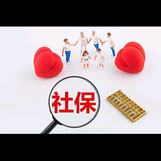 社保，公积金，人力资源服务