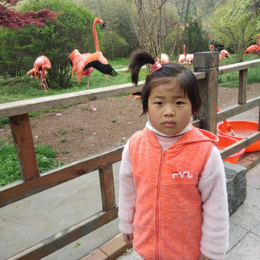 鹿格格妈妈