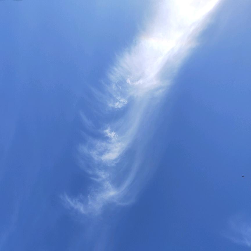 素颜