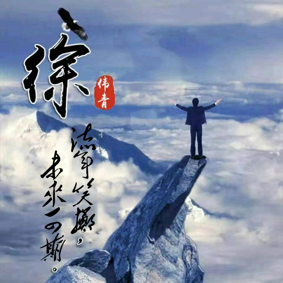 徐伟青