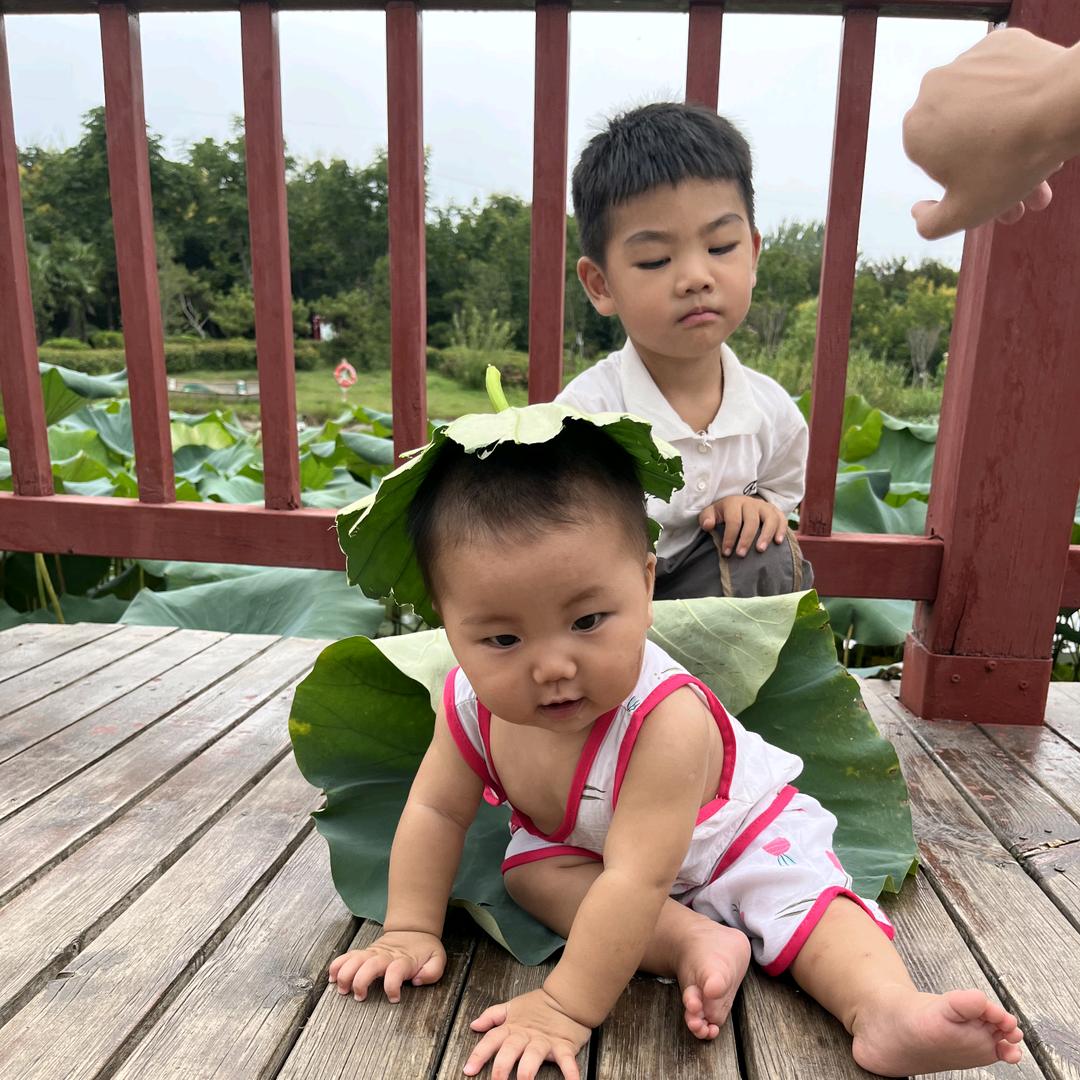 商丘市睢阳区张保合家电经营部