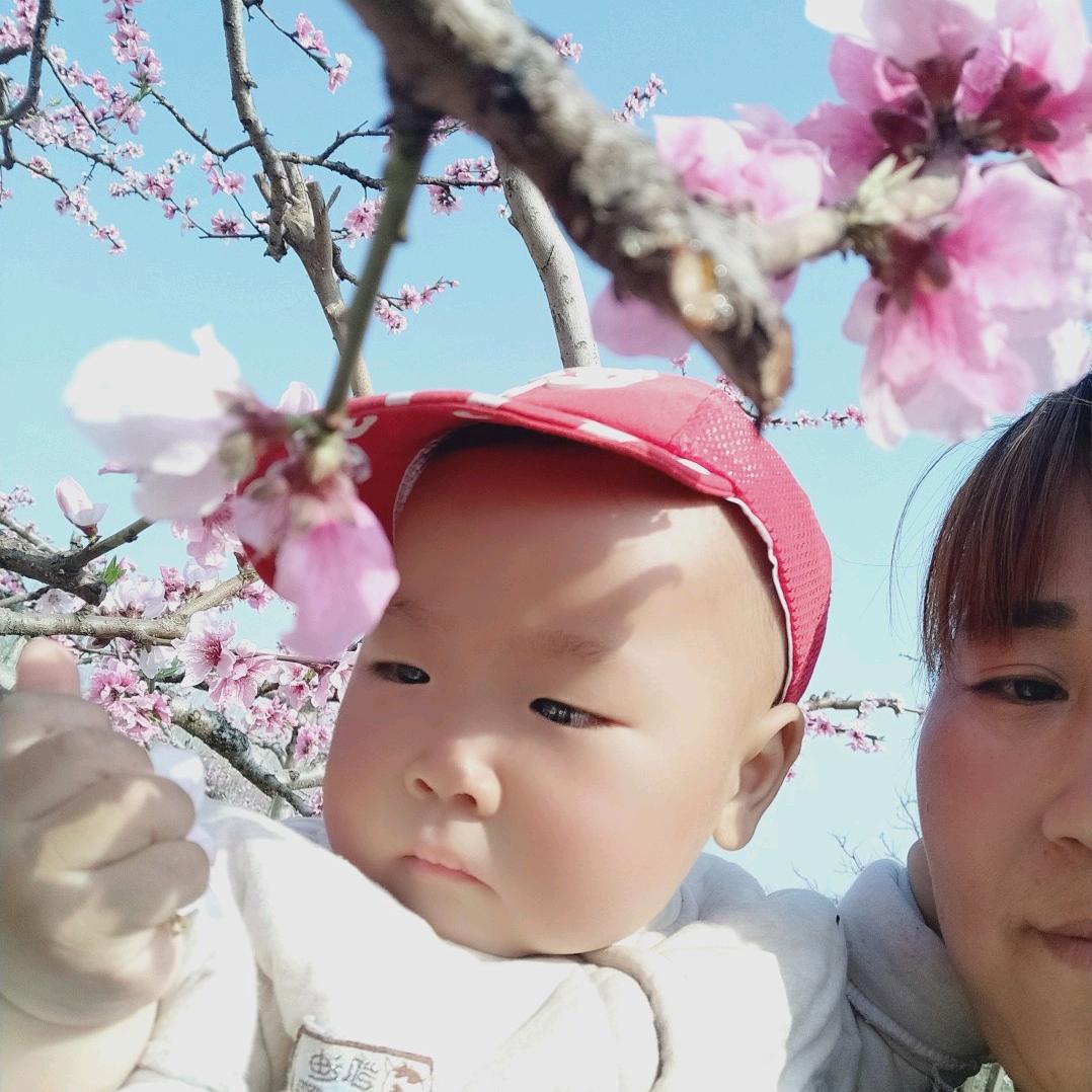 花开富贵1