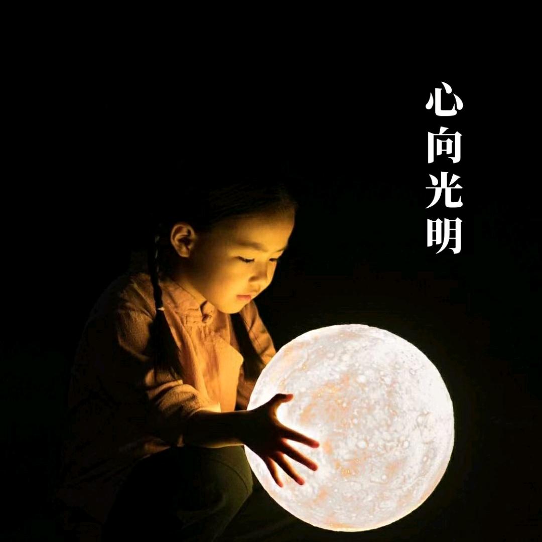 太阳花