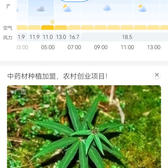 我天天开心