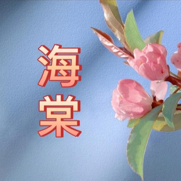 海棠
