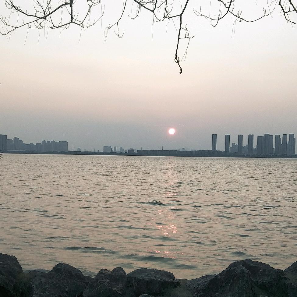珂珂