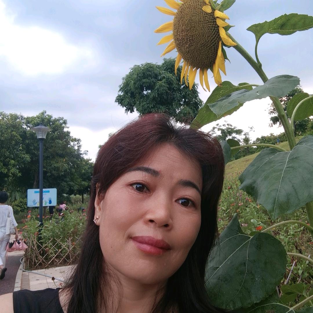 燕子，现碾现卖增城丝苗米