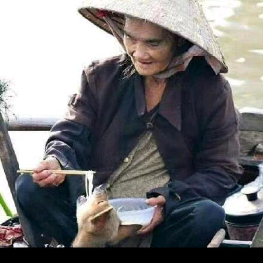 真爱一生
