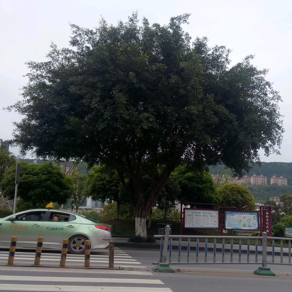 这一生无怨无悔