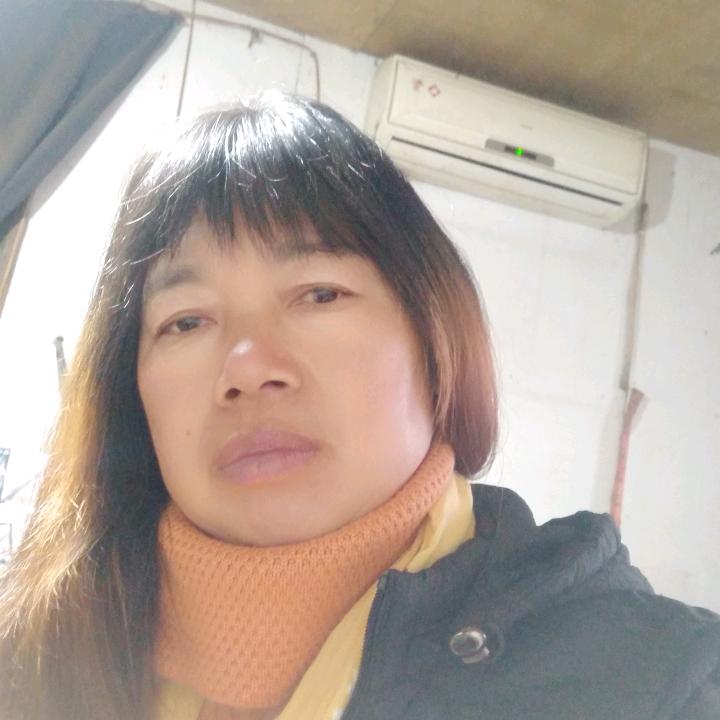 小燕子