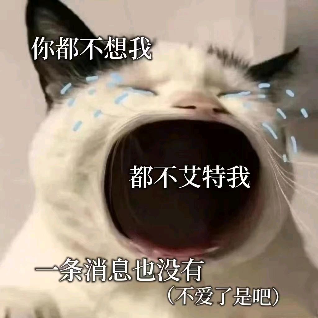 小林是个啰嗦少年