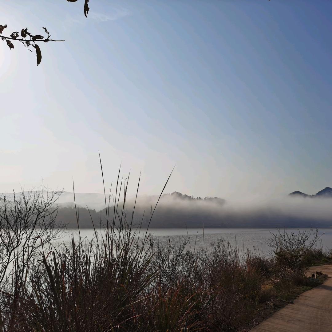 🌈小张妹🌸🌸🌸