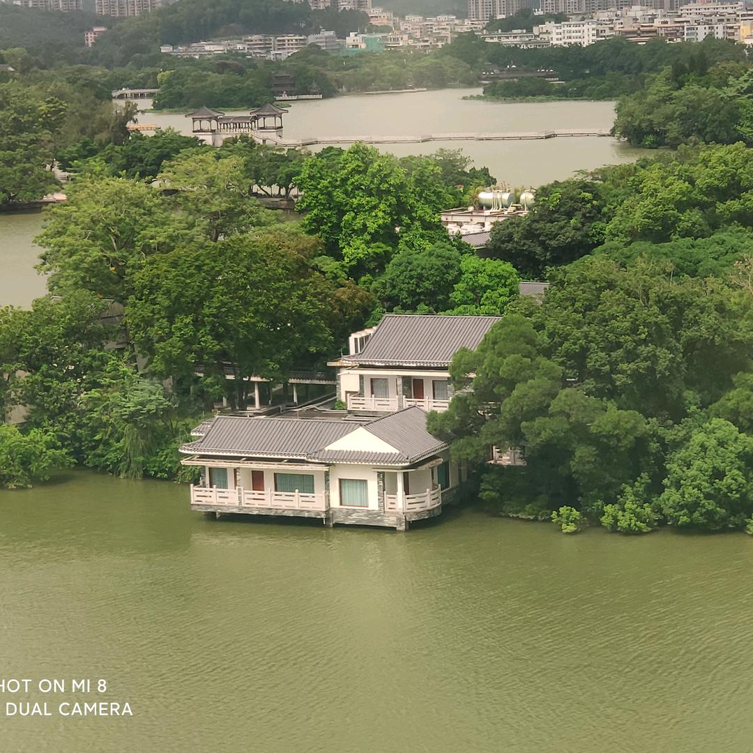 东南西北皆虚幻丶