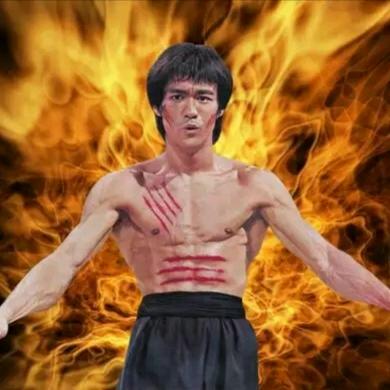 李小龙综合格斗