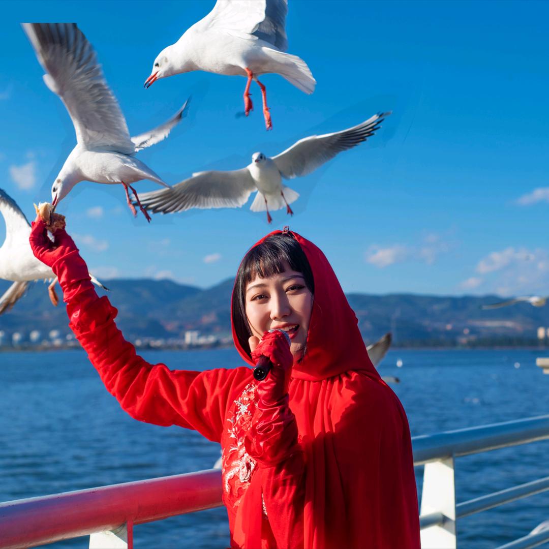 🐦鸥歌
